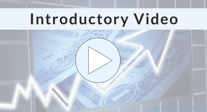 Financial Supply Chain Management video preview