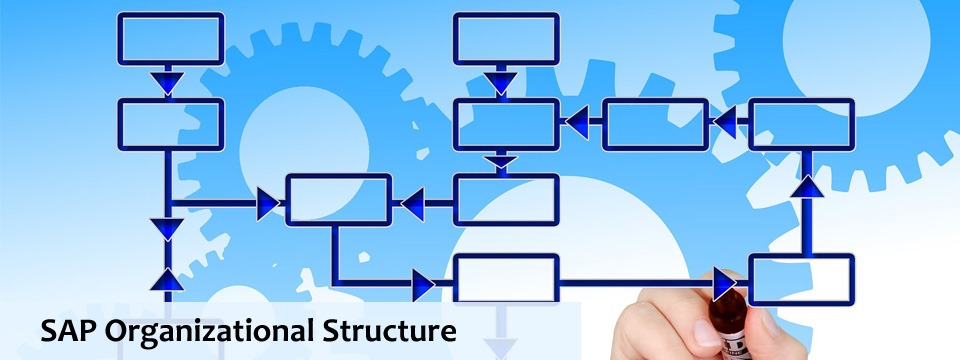 sap organizational structure