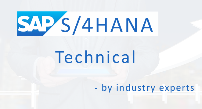 S/4HANA ABAP for Consultants video preview