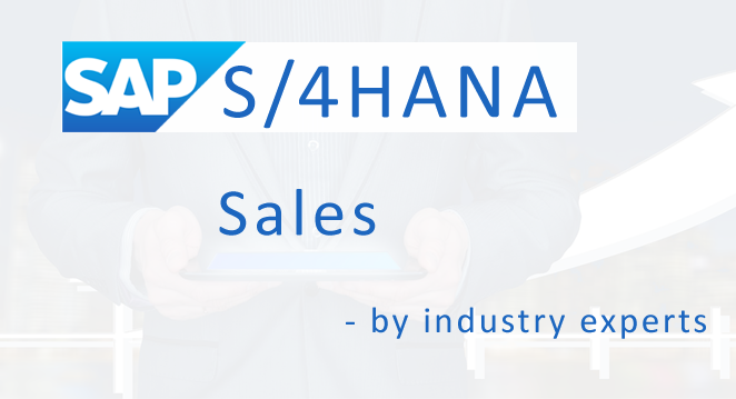 S/4HANA Sales for Consultants video preview