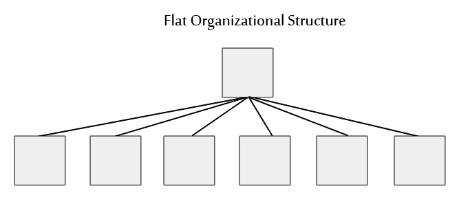 flat organizational structure