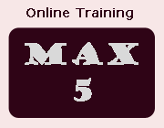 SAP Online Training Class Size