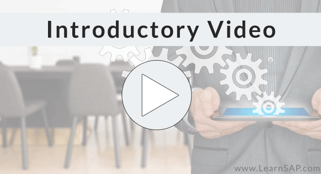 S/4HANA Sales for Beginners video preview